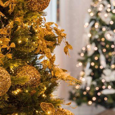 Christmas trees with lights and baubles.