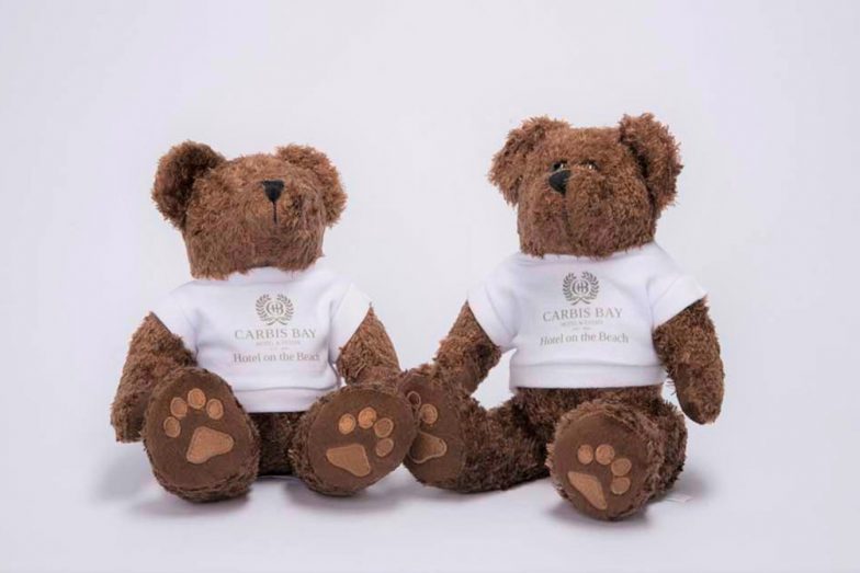 Two teddy bears against plain white background.