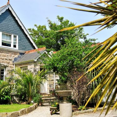 Pitched roof of house with palm tree in foreground.